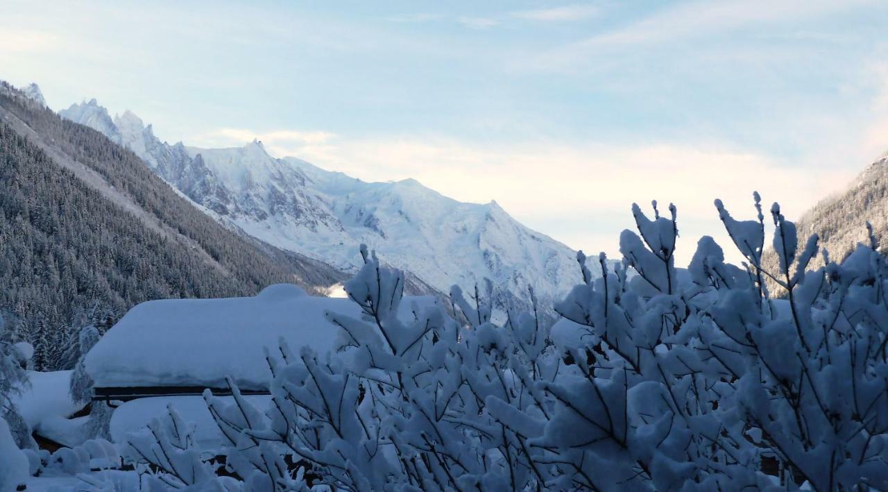 Appartement Capucine Chamonix Eksteriør bilde